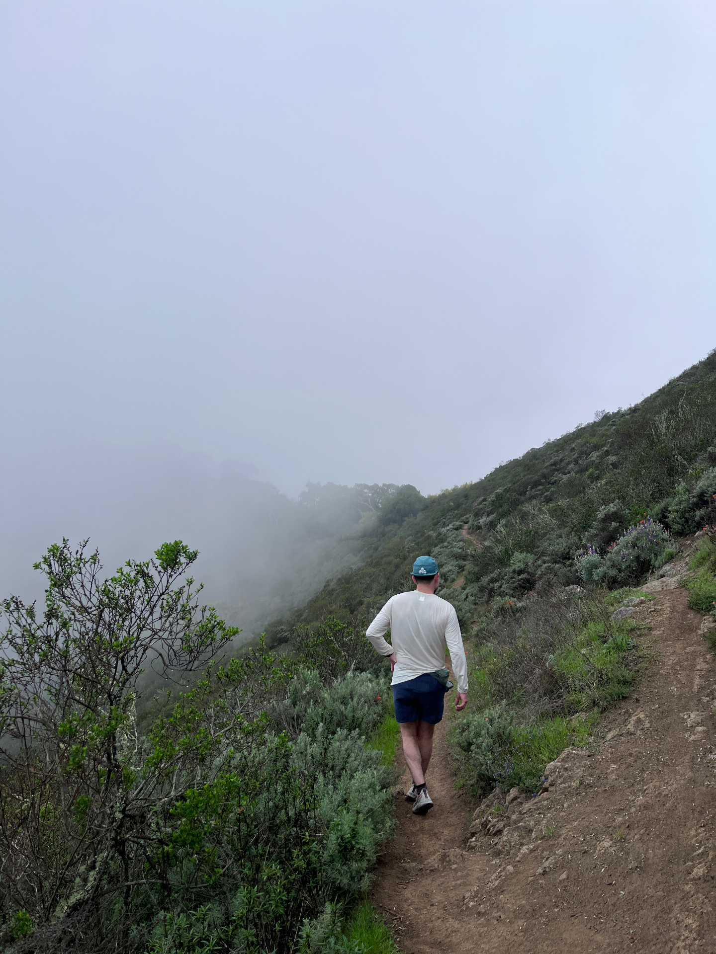 A runner on a misty Tilden Park ridgeline trail