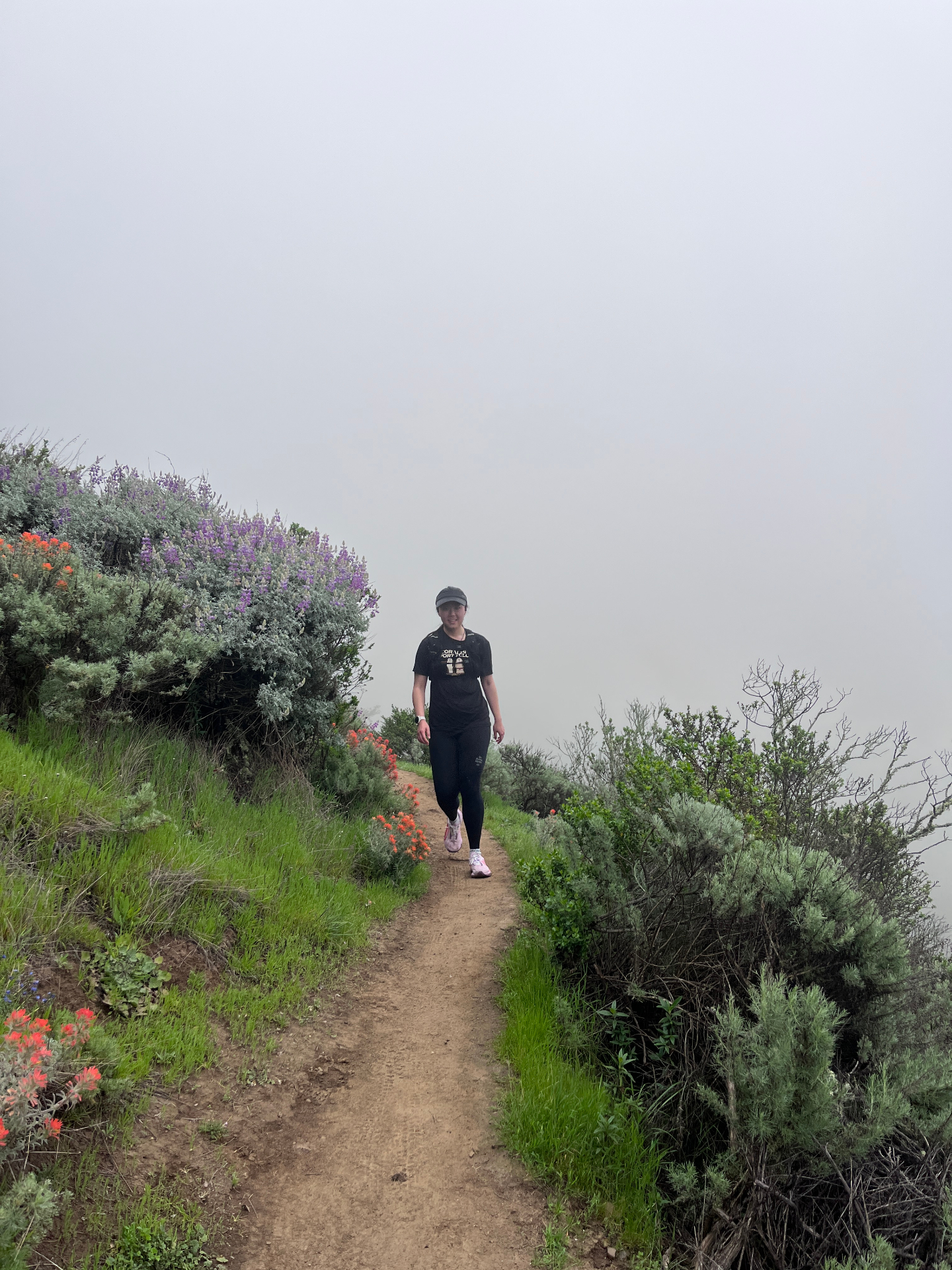 A runner on a foggy Tilden Park trail lined with wildflowers